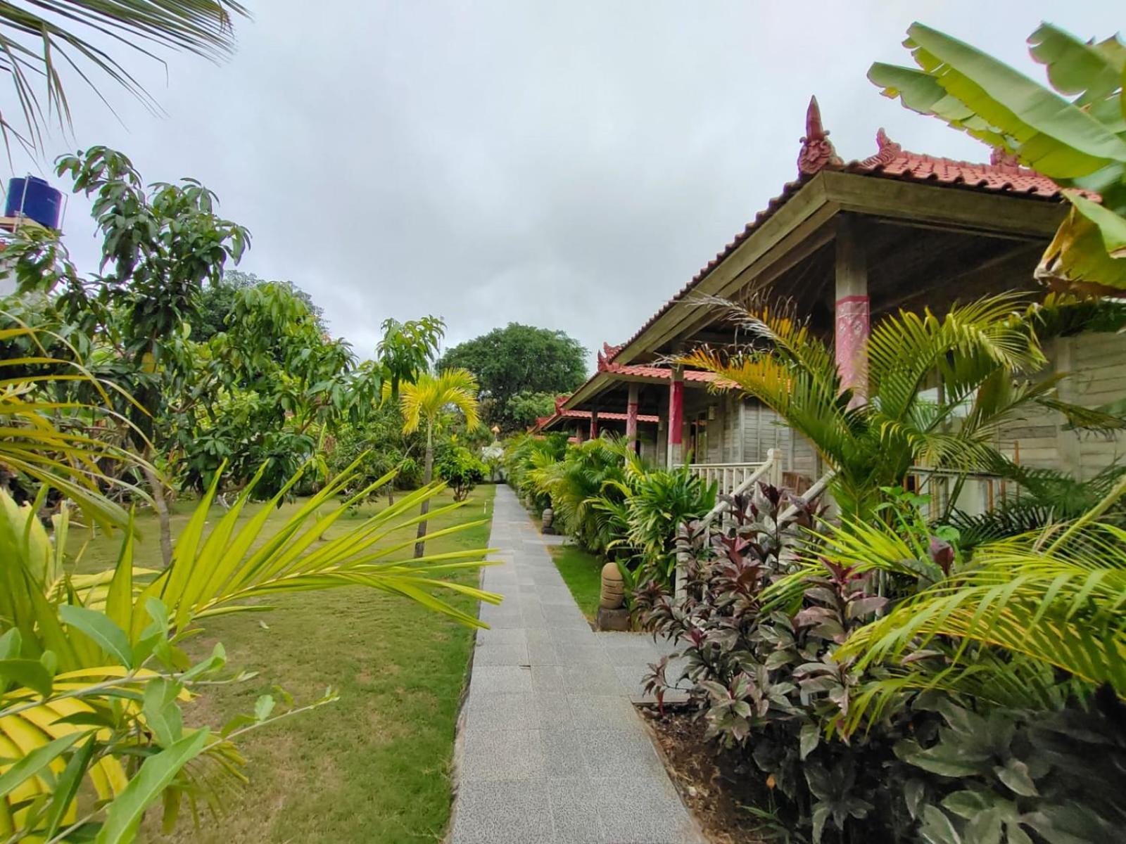 The Canda Mushroom Beach Lembongan Dış mekan fotoğraf